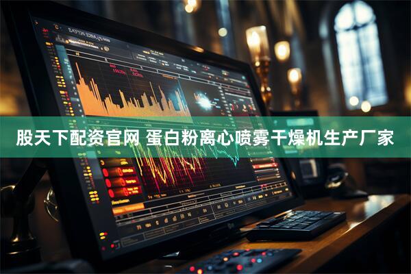 股天下配资官网 蛋白粉离心喷雾干燥机生产厂家