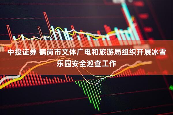 中投证券 鹤岗市文体广电和旅游局组织开展冰雪乐园安全巡查工作